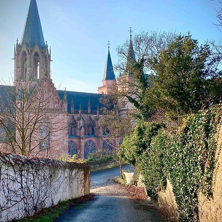 Schoenster Blick Auf Oppenheim! Екстериор снимка